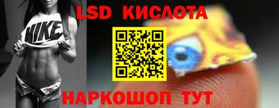 шишки Бердск
