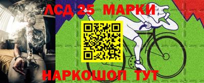 шишки Бердск