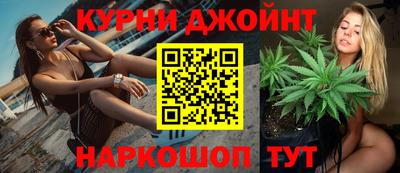 шишки Бердск