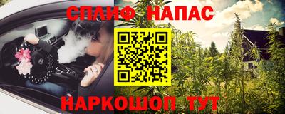 шишки Бердск