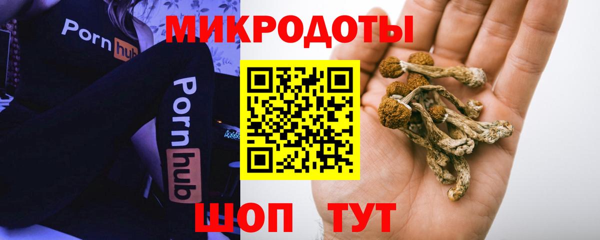 Псилоцибиновые грибы прущие грибы Азнакаево